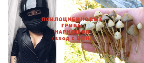 соль курить ск Горняк
