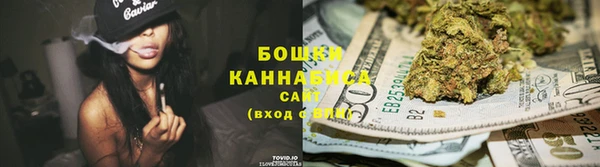 сатива Горно-Алтайск