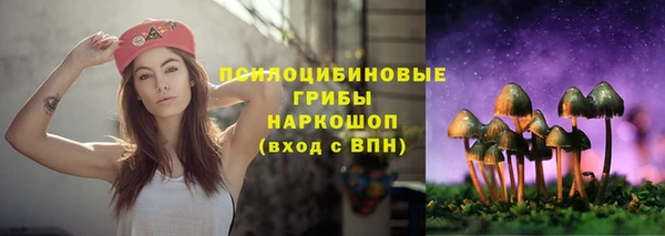 spice Горнозаводск