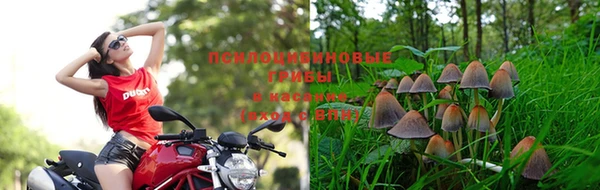 spice Горнозаводск